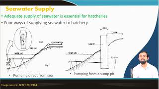 Design of prawn hatchery [upl. by Nageet]