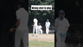 Easy wicket for Bowler  shorts wickets lbw  Subscribe if you like [upl. by Legin]