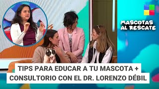 Educar a tu mascota  Dr Lorenzo Débil MascotasAlRescate  Programa completo 15092024 [upl. by Shana]