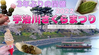 【3年振りの開催】宇治川さくらまつり2022【京都食べ歩きグルメ】 [upl. by Kennard68]