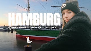 Hamburg IRL  Fischmarkt Sonnenaufgang Hafen [upl. by Llertnahs194]