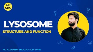 Lysosome Structure And Functions [upl. by Atinav123]