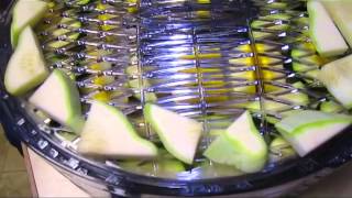 Dehydrating Vegetables  Wisconsin Garden Video Blog 437 [upl. by Argyle397]