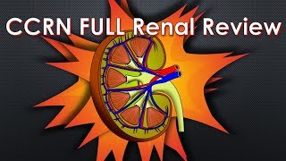 CCRN Renal Review  FULL [upl. by Gretal]