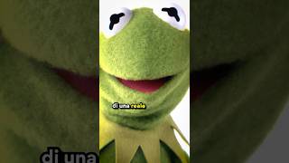 KERMIT ha fatto una Cosa ORRIBILE [upl. by Ellehcyt]