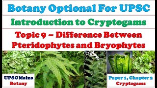 Difference between Pteridophytes and Bryophytes Pteridophytes VS Bryophytes Dissimilarities [upl. by Enyahs]