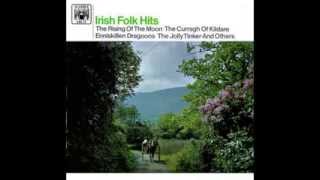 Various Artists  Irish Folk Hits [upl. by Atthia]