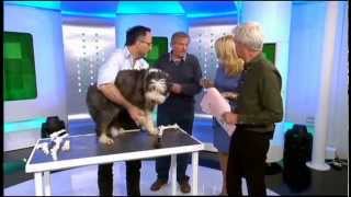 Healing Poorly Pets Noel Fitzpatrick TVs Bionic Vet [upl. by Vedi]