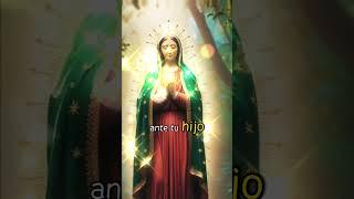 virgendeguadalupe amor fe oración a la virgen de Guadalupe [upl. by Knut]