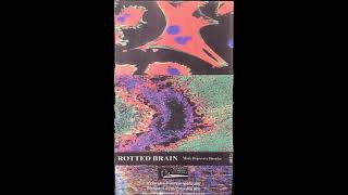 Rotted Brain – Manic Depressive Disorder [upl. by Alford]