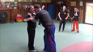 GM Walter Toch explaine distance Walking Cane in selfdefence [upl. by Jalbert]