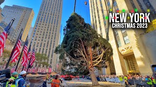 NYC Rockefeller Center Christmas Tree 2023 Installation ✨ New York City Christmas 2023 🌲 [upl. by Andrey523]