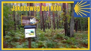 Wandern auf dem Jakobsweg bei Köln [upl. by Joao]