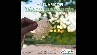 20241016 Actuar con transparenciashorts [upl. by Ddot641]