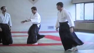 Aikido 4th Dan Exam Part 2 [upl. by Eriha]