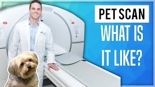 PET Scan What Is It Like 2020 [upl. by Chip257]