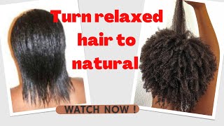 How to change relaxed hair to natural hair big chop and transitioning fast and easy [upl. by Harve226]