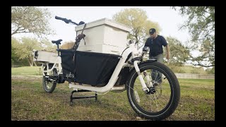 Yuba Supercargo CL  Charlie Bee Company A Beekeepers Favorite Cargo Bike [upl. by Naveb89]