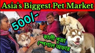 Asias Biggest Pet Market 😲Gallif Street Pet Market Kolkata 😍Recent Dog Puppy PriceUpdate 🥰 Animal [upl. by Calandra]