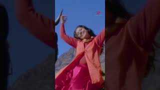 Watch full video👆 Poo Pookkum Osai minsarakanavu arrahman shorts [upl. by Arlyne887]