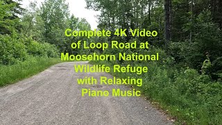 Relaxing 4K Video of Moosehorn National Wildlife Refuge Loop Road with Piano Music [upl. by Bocaj]