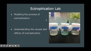 Eutrophication Lab Introduction [upl. by Aylat]