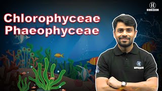 Chlorophyceae amp Phaeophyceae  Animal Kingdom   Biology  Ram sir  Horizon Academy [upl. by Vivyanne173]