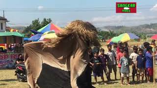 singo barong  Singo suro ghondo shangit live Lapangan Sumbersari sangkar video [upl. by Acinoev]