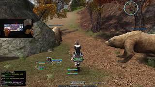 Lotro PvP  Grinding Rank 13 Burg New Years  Arkenstone [upl. by Aned499]