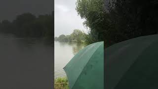 Barston fishing carp Lakes carp fishing [upl. by Nalyad]