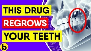 Scientists Discover Drug That Fixes Cavities amp Regrows Teeth [upl. by Georgia349]