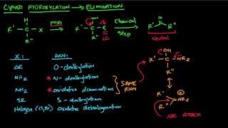 CYP450 part 2  Elimination after Hydroxylation [upl. by Carew619]