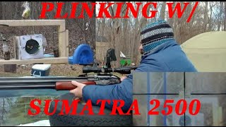 Plinking w Sumatra 2500 22 cal amp Megaorei 2 [upl. by Walters563]