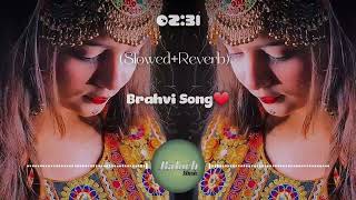 New Brahvi Song  SlowedReverb 2024 بس اوٹ ای نا شہرا زیبل پیشٹم اوراغاں Full Song [upl. by Wolliw428]