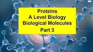 Part 3 Proteins Biological Molecules [upl. by Lehacim]