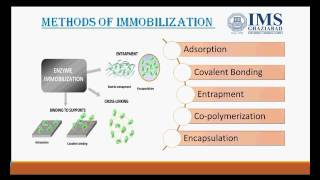 Enzyme immobilization [upl. by Anibor654]