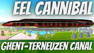 Fishing Planet  Cannibal Eel MONSTER  How To Catch Ghent Terneuzen Canal Monster [upl. by Aimee]