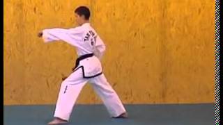 ITF Taekwon Do Patterns  Saju Jirugi [upl. by Malkin]