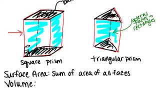 Prisms Lesson Geometry Concepts [upl. by Garmaise]