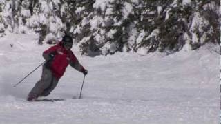 CANSI Presents Skiing Standards  Telemark [upl. by Nezah]