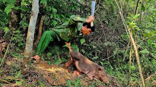 Survival skills detecting wild boars eating cassava boar trap skills [upl. by Aseret326]