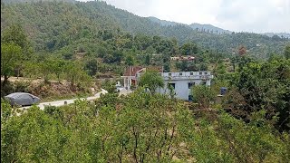 4 nali land  Apple garden for sale Mukteshwar nainital  पहाड़ों में प्लॉट सेल property sale [upl. by Novhaj522]