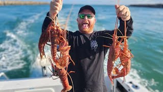 5 fathom bank or the James service reef Cray pot pull 4122023 crayfish lobster [upl. by Rego769]