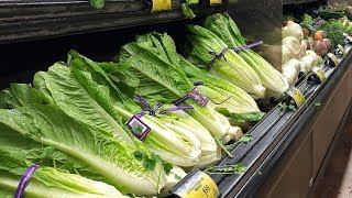 Romaine lettuce E coli outbreak spreads [upl. by Libbey]