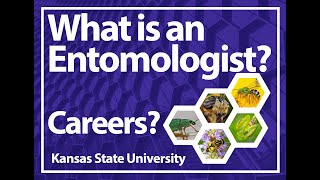 What is an Entomologist and Careers in Entomology [upl. by Pauwles]