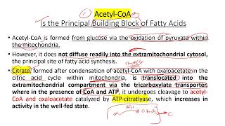 lec 15 part 1 fatty acid synthesis [upl. by Elleivad]