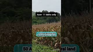 50 Acres Agriculture land sale  Acre11 lakhs only [upl. by Melisse]