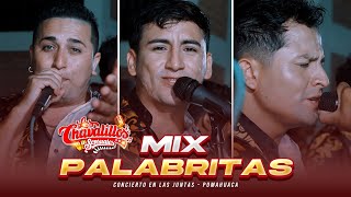 Mix Palabritas  Los Chavalillos Sensuales  En Vivo [upl. by Aizek]