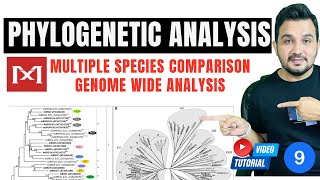 How to perform Phylogenetic analysis using MEGA 11 software [upl. by Eniamerej771]