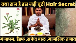 Secret Tips to Hair Regrow and Vow to Stop Hair Fall  Ayurvedic Home Remedies Jadi Buti Desi Nuskhe [upl. by Gerdeen174]